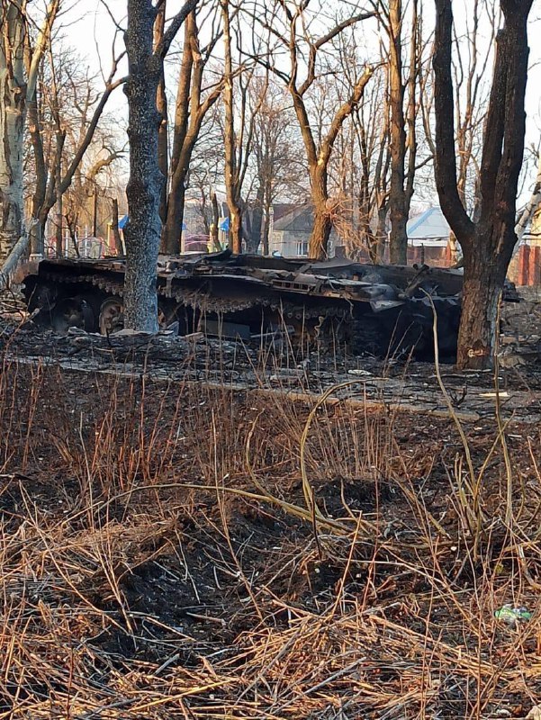 Russian military equipment together with personnel was destroyed in forests near Kyiv