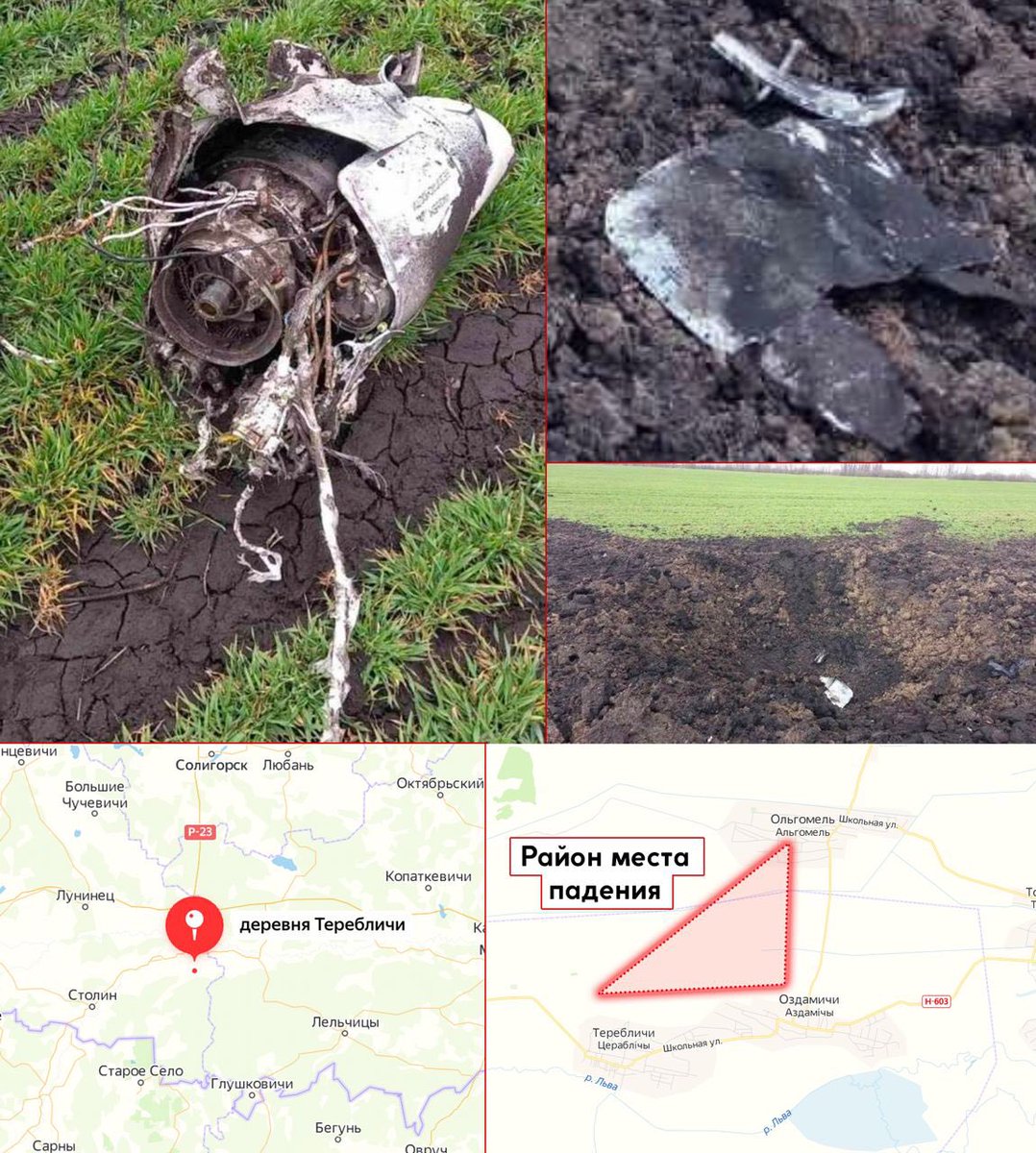 Wreckage of cruise missile was found near David-Haradok, local residents say they heard an explosion. It's known that today after 11:00, residents of Tsiareblichy, Azdamichy and Algomel (Brest region) villages heard a strong rumble, then heard an explosion and saw smoke