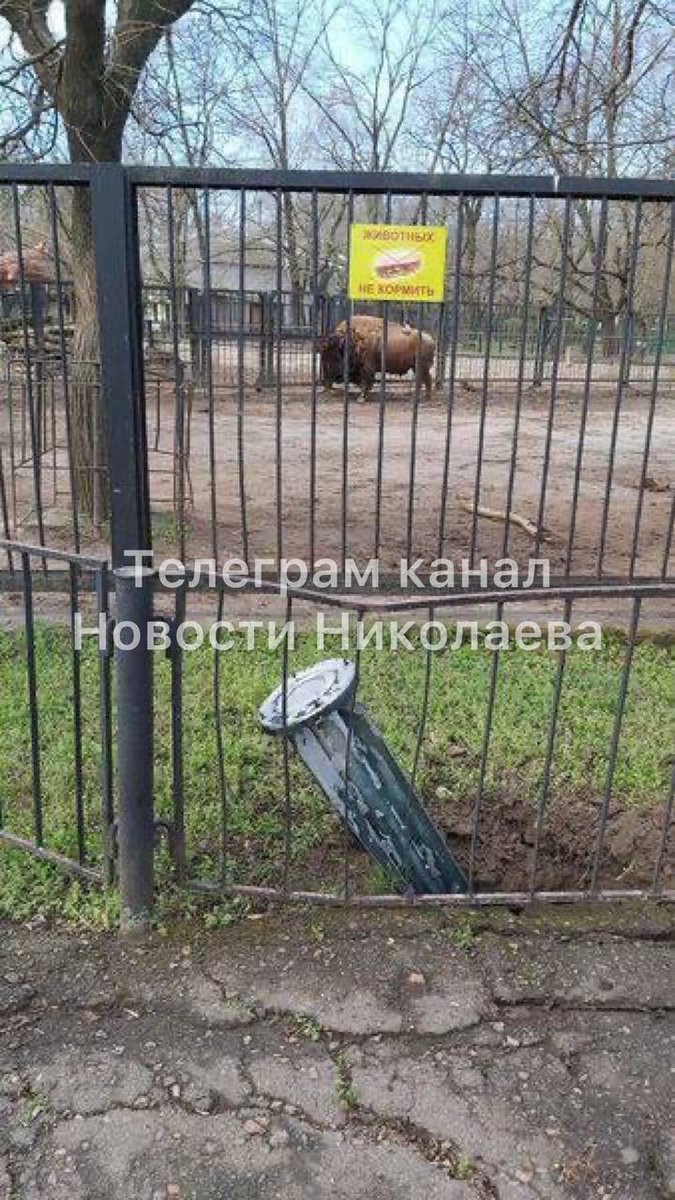 Parts of Russian missiles have fallen on the zoo in Mykolaiv
