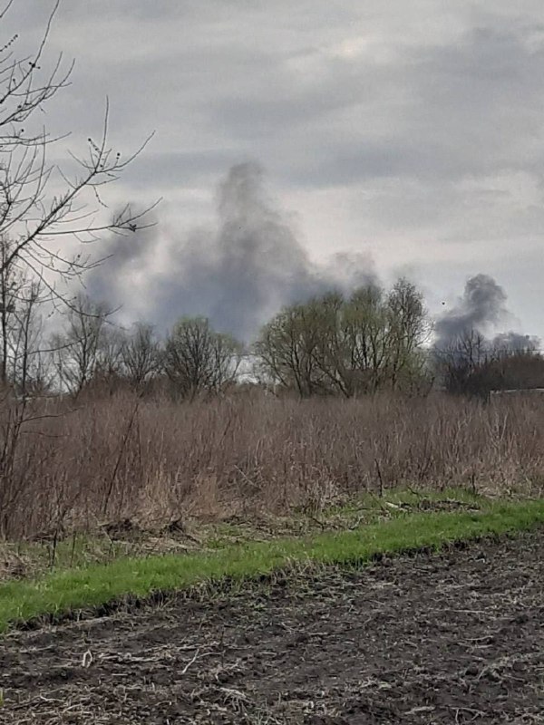 Governor of Kursk region says border area was shelled in Glushkovo district