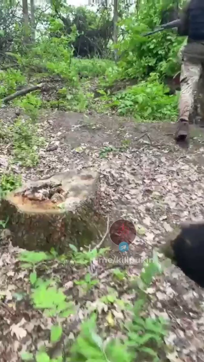 Video: Ukrainian soldiers At border line to Russia just north of Kharkiv