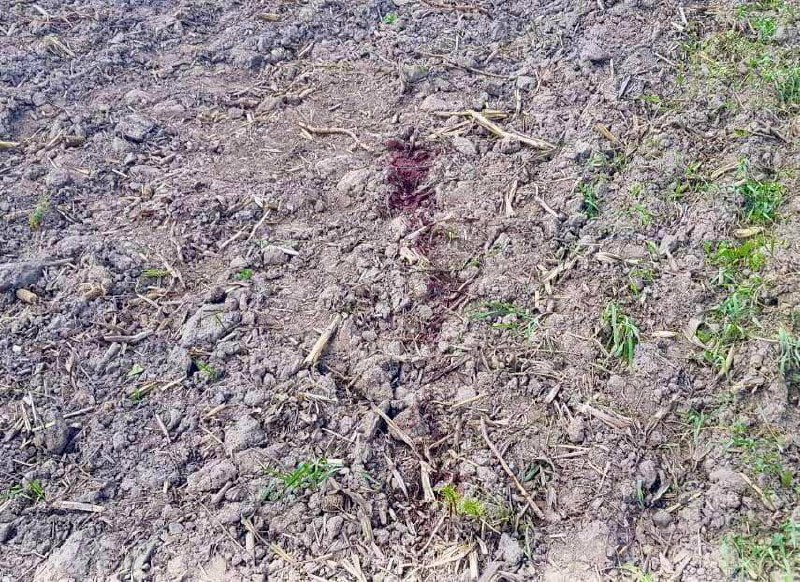 2 men wounded as result of landmine explosion in Bucha district of Kyiv region
