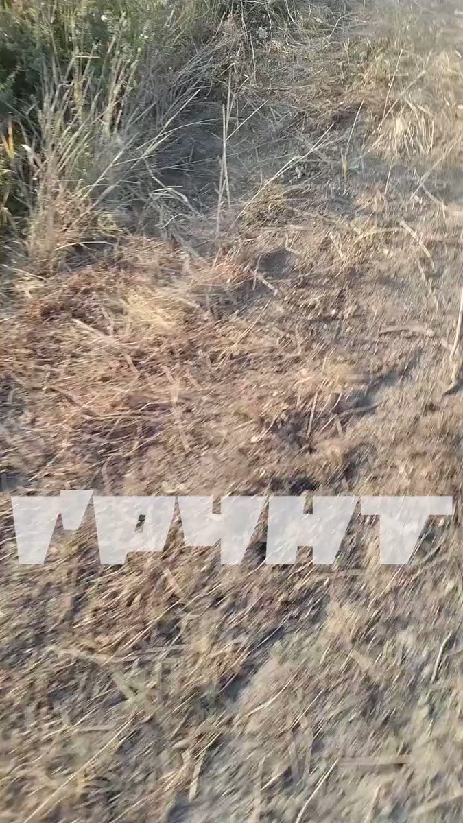 Video of Ukrainian operation at Ingulets river near Andriivka village