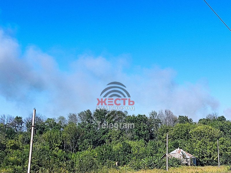 Ammunition exploding near Timonovo village of Belgorod region due to hot weather, - authorities