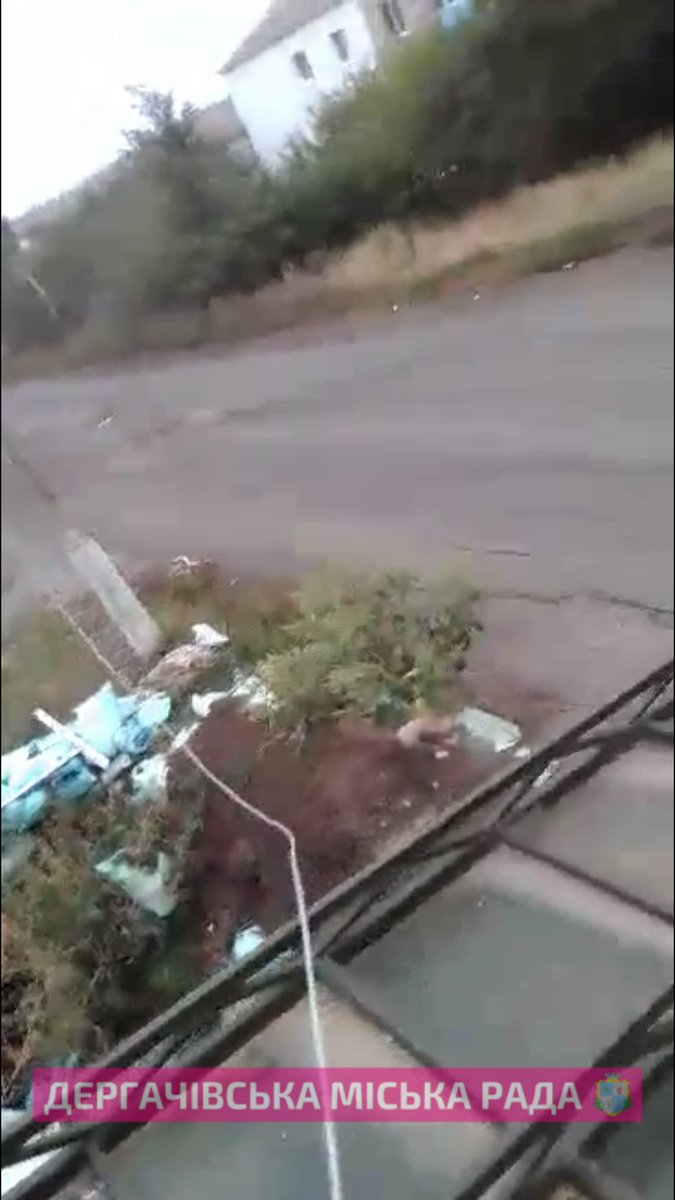Ukrainian flag raised in Tokarivka near Hoptivka