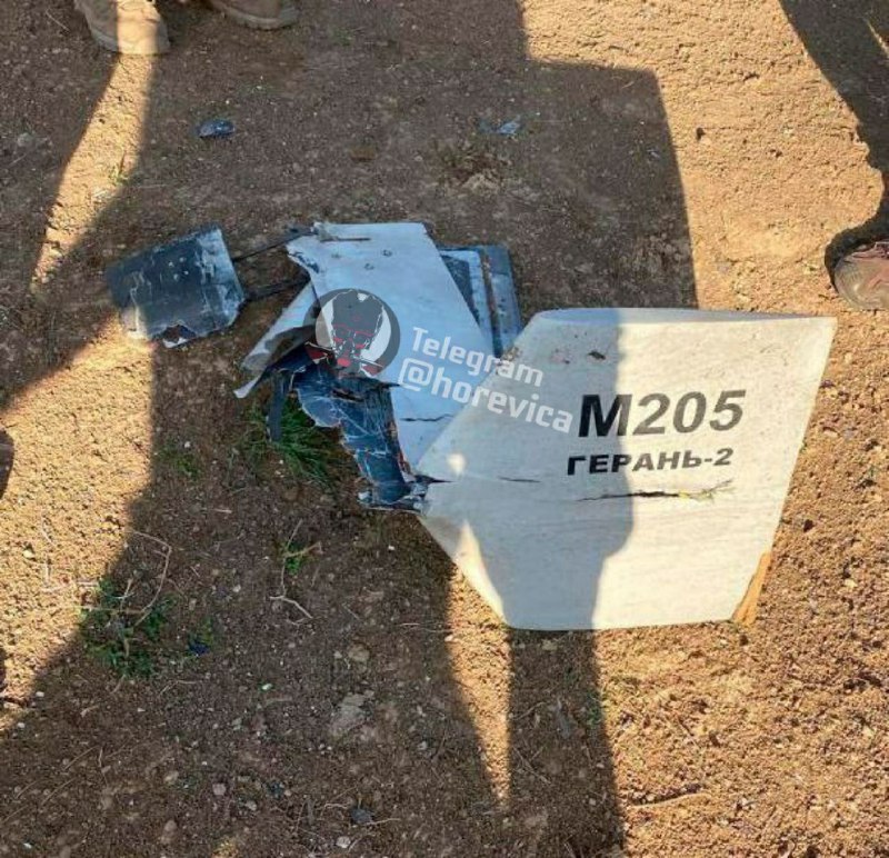 Iranian-made Shahed-136(number M205) was shot down in Mykolaiv region