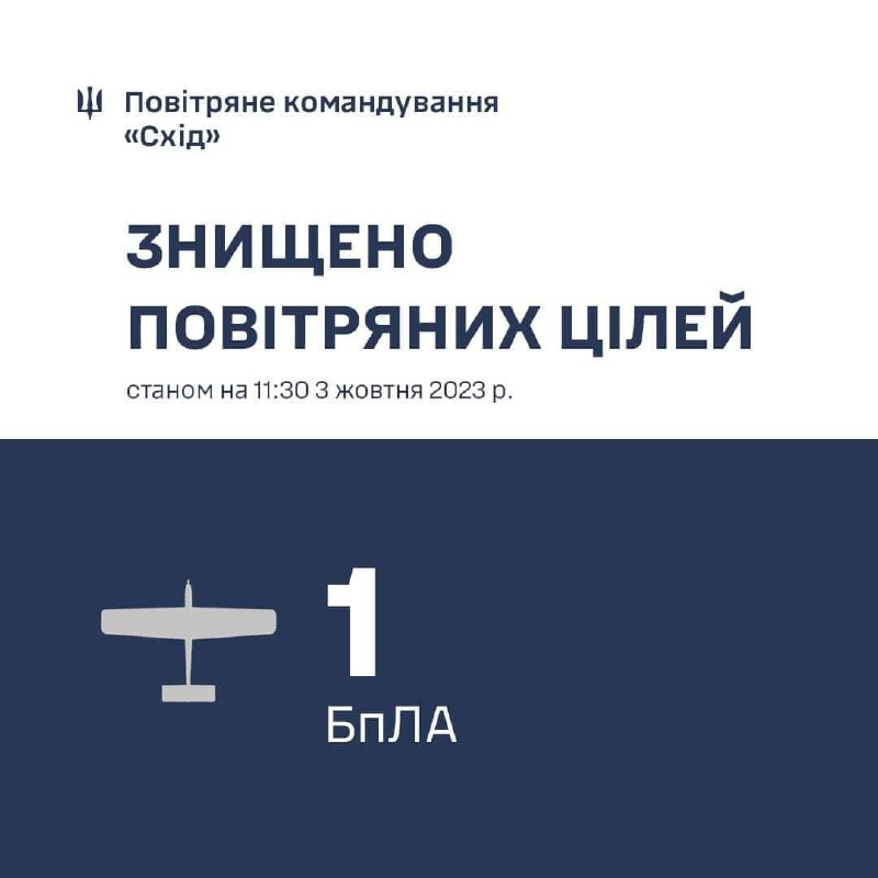 Український винищувач МіГ-29 збив російський безпілотник над Запорізькою областю