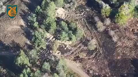 Ukrainische Marinesoldaten zerstörten zwei russische Panzer in der Nähe von Krynky, Oblast Cherson