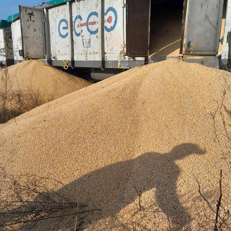 150 toneladas de cereales ucranianos se derramaron de los vagones del tren en Kotomiez, Polonia