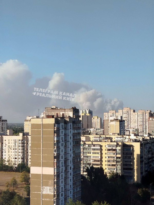 Big forest fire in Vyshgorod district of Kyiv region