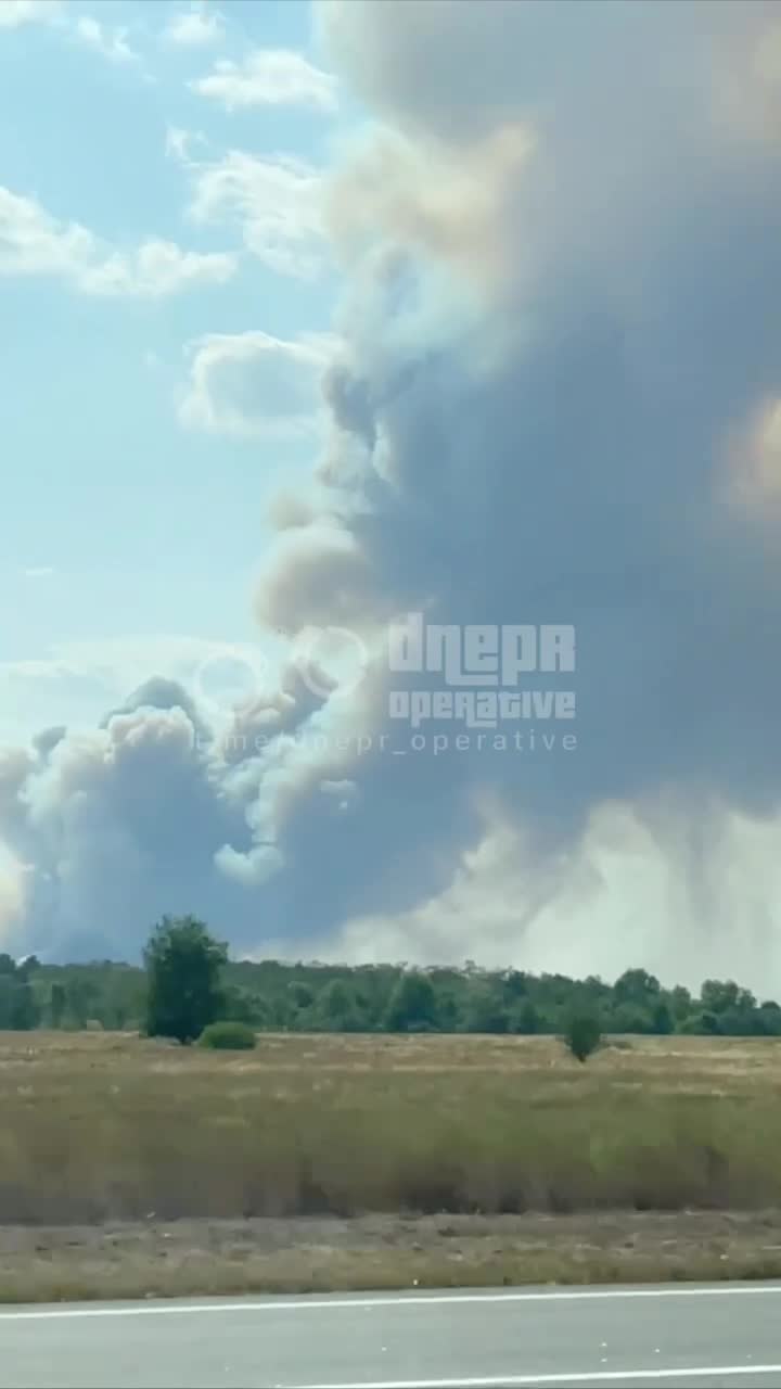 Крупный лесной пожар возле села Орильское Днепропетровской области