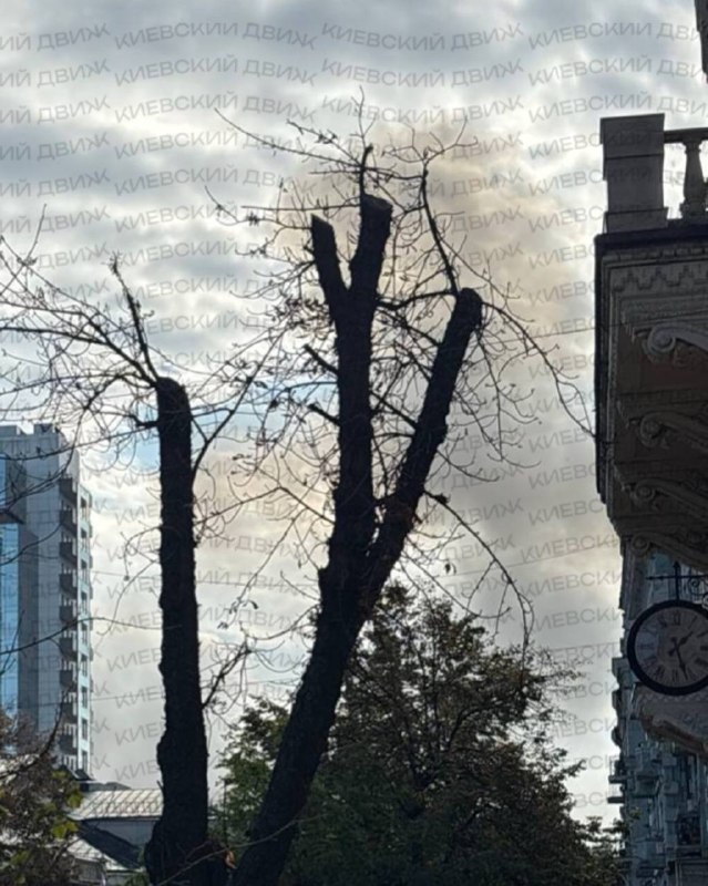 Smoke is rising in central part of Kyiv as result of Russian drone strike